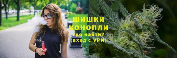 амф Богородск