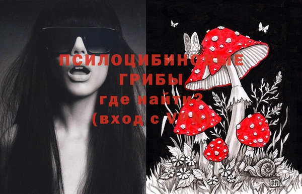 jwh Богданович