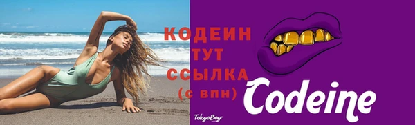 mdpv Богородицк