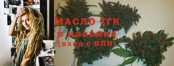 mdpv Богородицк