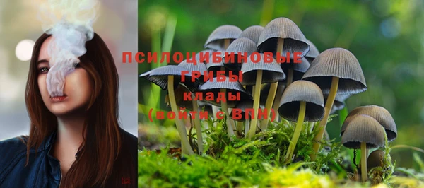 jwh Богданович