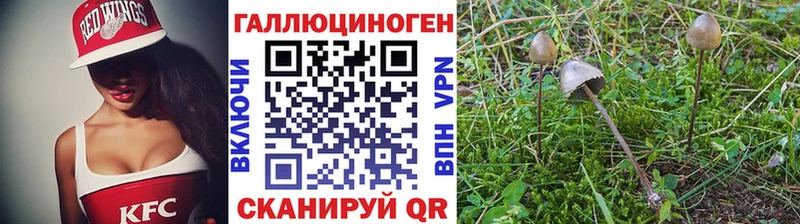 Галлюциногенные грибы MAGIC MUSHROOMS  Могоча 